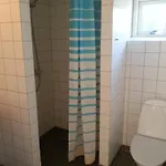 Danhostel Vandrerhjem *